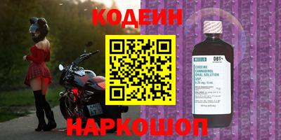 СК Обнинск