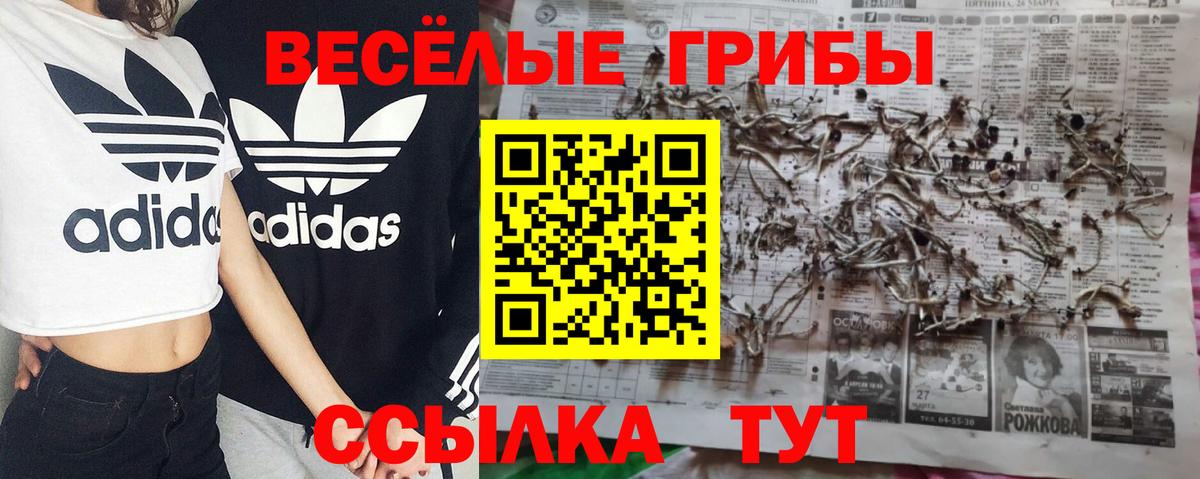 Псилоцибиновые грибы MAGIC MUSHROOMS Новороссийск