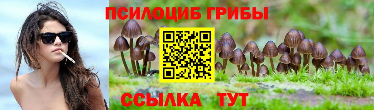 Новороссийск  Галлюциногенные грибы Psilocybine cubensis  Галлюциногенные грибы Psilocybine cubensis  Вход с VPN 